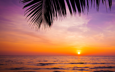 The 73 Best Mindfulness Ideas For Transformational Coaches (2023)